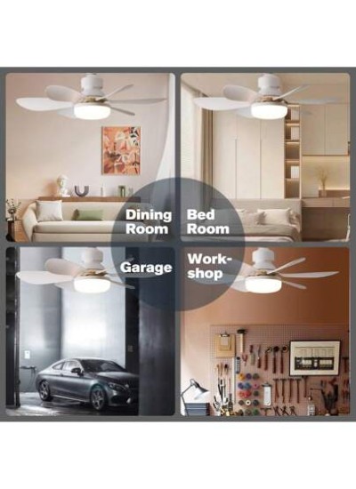 Socket Fan Ceiling Fan With Light And Remote,20.5" E27 Noiseless Ceiling Fans Di